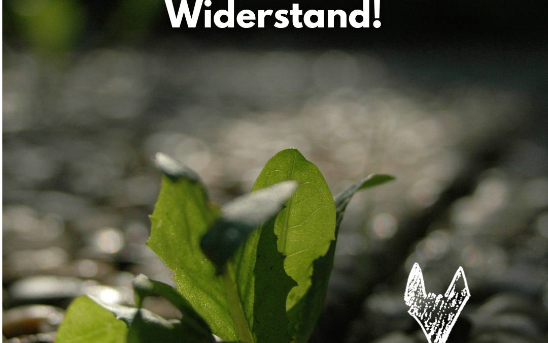 Wachstum folgt auf Widerstand!